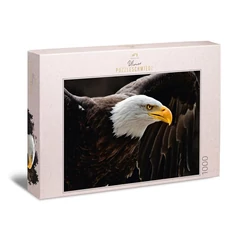 Ulmer 1000 db-os puzzle - The Sea Eagle (1227)