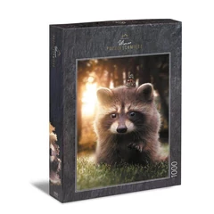 Ulmer 1000 db-os puzzle - Raccoon Looking for a Friend (1630)