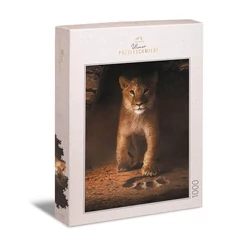 Ulmer 1000 db-os puzzle - Simba (2514)