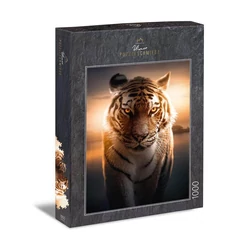 Ulmer 1000 db-os puzzle - Eyes of the Night (2569)