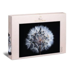 Ulmer 1000 db-os puzzle - Dandelion (2736)