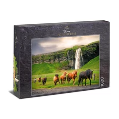 Ulmer 1000 db-os puzzle - Icelandic Horse (2804)