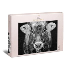 Ulmer 1000 db-os puzzle - Allgäu (2927)