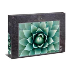 Ulmer 1000 db-os puzzle - Agave (2965)