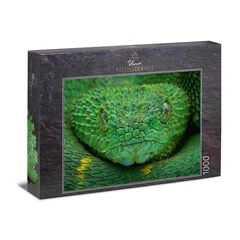 Ulmer 1000 db-os puzzle - Poison Green (3023)