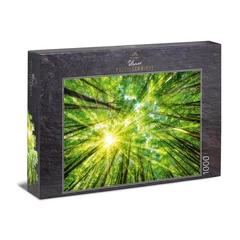 Ulmer 1000 db-os puzzle - Light and Shadow (3054)