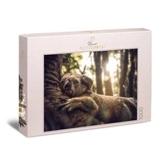 Ulmer 1000 db-os puzzle - The Dreamer (3160)