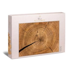 Ulmer 1000 db-os puzzle - Chronicle of Wood (4679)