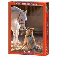 Castorland 1000 db-os puzzle - Unique Friendship (C-105076)