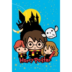 Harry Potter polár takaró 100 x 150 cm