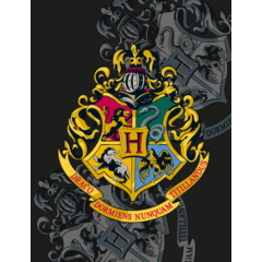 Harry Potter polár takaró - Roxforti házak 130 x 170 cm