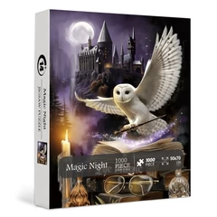 Bboldin 1000 db-os puzzle - Magic Night (PT-139)