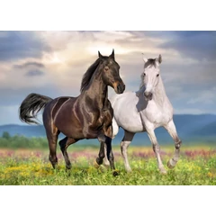 Bluebird 500 db-os puzzle - Couple de Chevaux (90282)