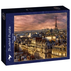 Bluebird 1000 db-os puzzle - Paris, France (90139)