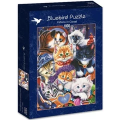 Bluebird 1000 db-os puzzle - Kittens In Closet (70087)
