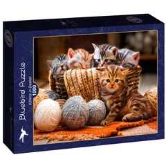 Bluebird 90264 - Kittens in Basket - 1000 db-os puzzle