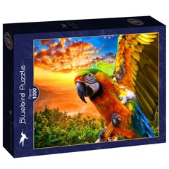 Bluebird 90263 - Parrot - 1000 db-os puzzle