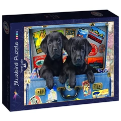 Bluebird Kids 48 db-os puzzle - Travel Labs (90053)