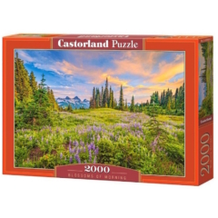 Castorland 2000 db-os puzzle - Reggeli virágok (C-200863)