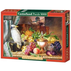 Castorland 3000 db-os puzzle - Csendélet (C-300143)