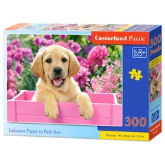 Castorland 300 db-os puzzle - Labrador kölyök rózsaszín dobozban (B-030071)