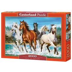 Castorland 2000 db-os puzzle - Hív a természet (C-200702)