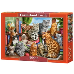 Castorland 2000 db-os puzzle - Macskák háza (C-200726)