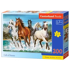 Castorland 200 db-os puzzle - Hív a természet (B-222056)