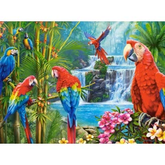 Castorland 2000 db-os puzzle - Parrot Meeting (C-200870)