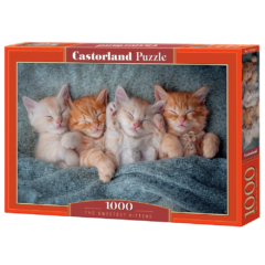Castorland 1000 db-os puzzle - A legédesebb cicák (C-105144)