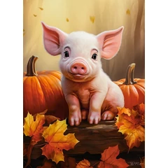 Castorland 300 db-os puzzle -  Aranyos kismalac (B-030569)