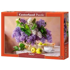 Castorland 500 db-os puzzle - Csendélet orgonával (B-54091)