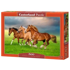 Castorland 500 db-os puzzle - Tavaszi vágta (B-54084)