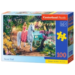 Castorland 100 db-os puzzle - Titkos út (B-111114)