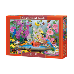 Castorland 2000 db-os puzzle - A természet ritmusa (C-200818)