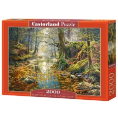 Castorland 2000 db-os puzzle - Az őszi erdő emléke (C-200757)