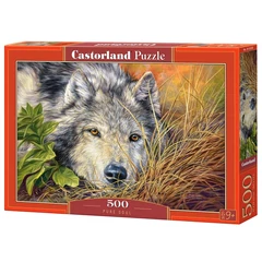 Castorland 500 db-os puzzle - Tiszta lélek (B-53285)