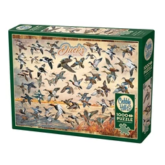 Cobble Hill 1000 db-os puzzle - Ducks of North America (40177)