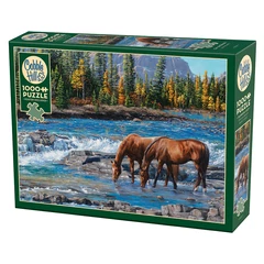 Cobble Hill 1000 db-os puzzle - On the Rocks (40267)