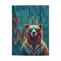 Coolpack - Gumis mappa A/4 - Bear (07265CP)