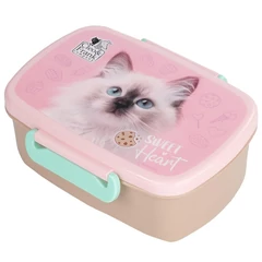Cleo és Frank cicás műanyag uzsonnás doboz - rózsaszín (SACF45)