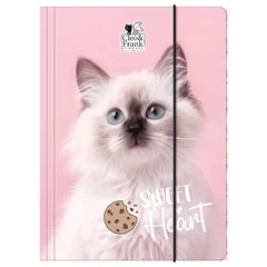 Cleo és Frank cicás  A/4 gumis mappa - Sweet Heart (TGA4CF45)