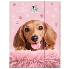 Cleo és Frank kutyás A/4 gumis mappa - Pink (TGA4CF46)