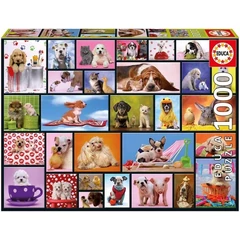Educa 1000 db-os puzzle - Közös pillanatok (15518)
