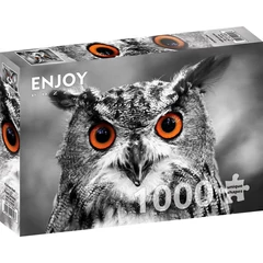 Enjoy 1000 db-os puzzle - Curious Owl (1626)