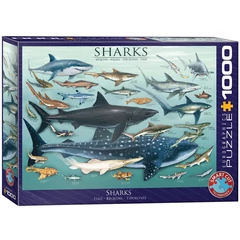 EuroGraphics 1000 db-os puzzle - Sharks (6000-0079)