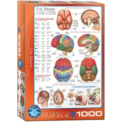 EuroGraphics 1000 db-os puzzle - The Brain (6000-0256)