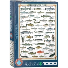 EuroGraphics 1000 db-os puzzle - Freshwater Fish (6000-0312)