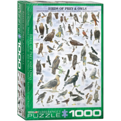EuroGraphics 1000 db-os puzzle - Birds of Prey &amp; Owls (6000-0316)