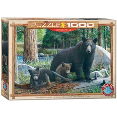 EuroGraphics 1000 db-os puzzle - New Discoveries (6000-0793)
